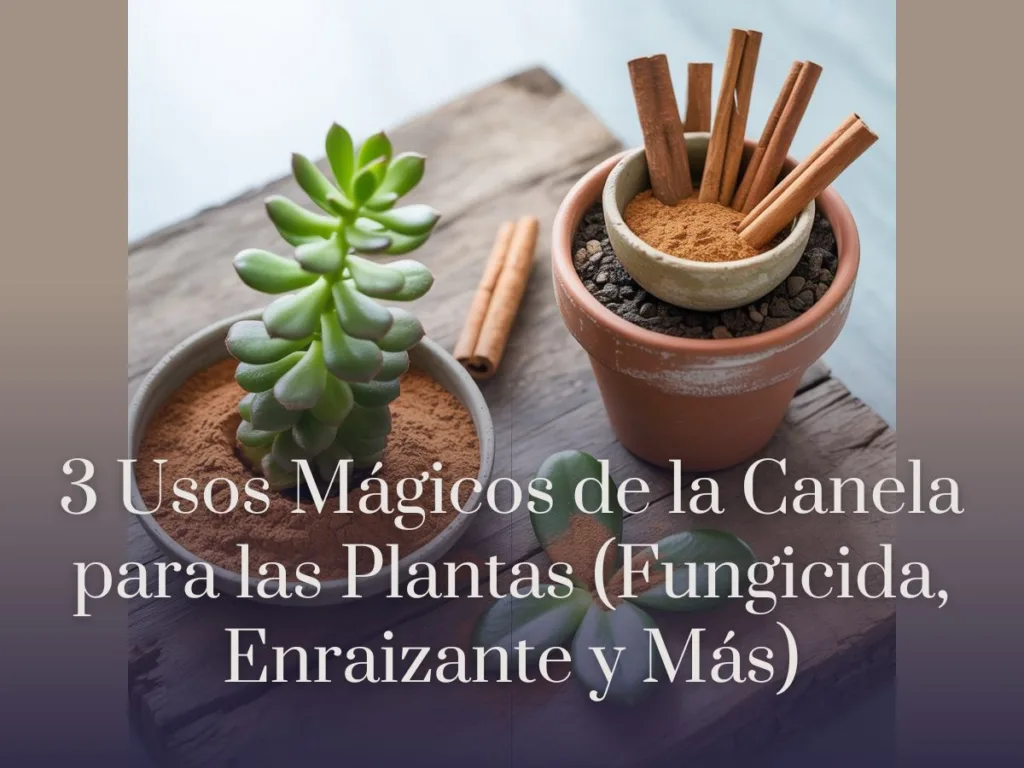 3 Usos Mágicos de la Canela para las Plantas (Fungicida, Enraizante y Más)