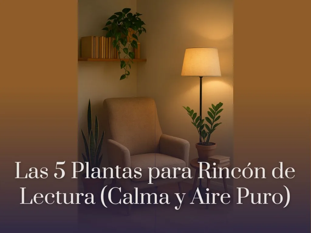 Las 5 Plantas para Rincón de Lectura (Calma y Aire Puro)