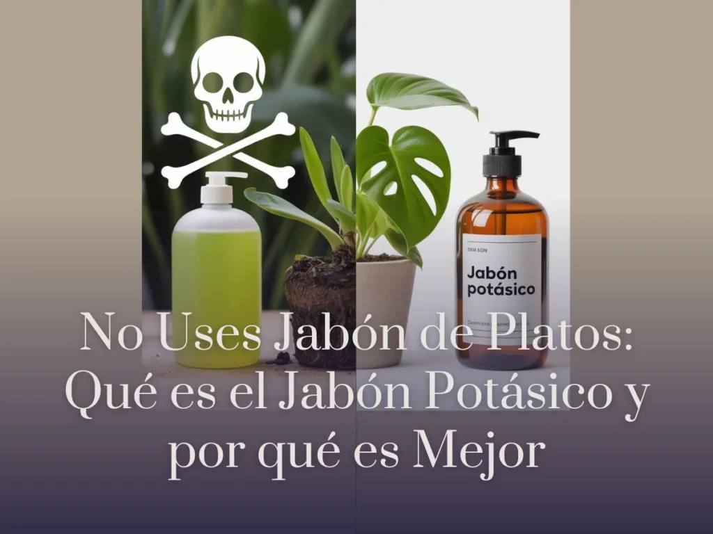 No Uses Jabón de Platos Qué es el Jabón Potásico y por qué es Mejor