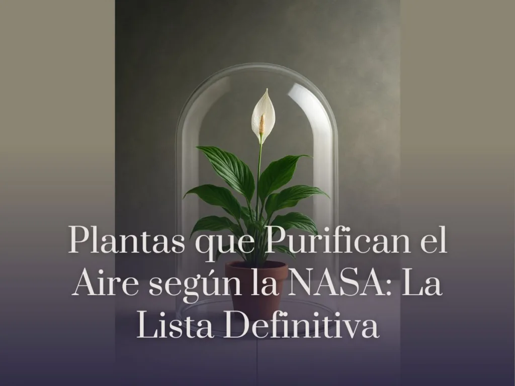 Plantas que Purifican el Aire según la NASA La Lista Definitiva