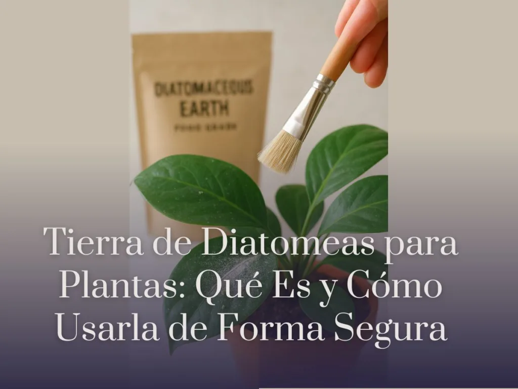 Tierra de Diatomeas para Plantas Qué Es y Cómo Usarla de Forma Segura