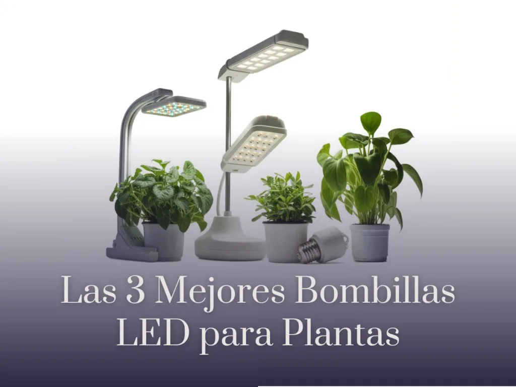 Las 3 Mejores Bombillas LED para Plantas