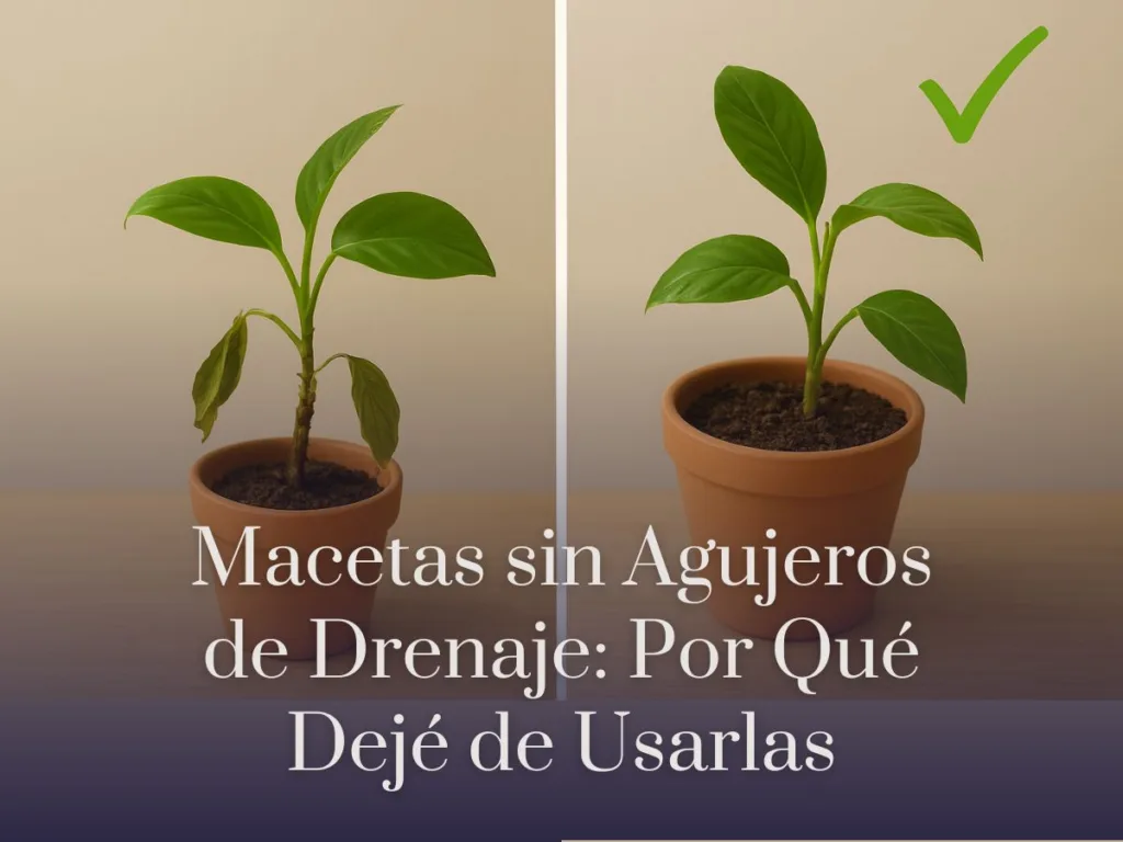 Macetas sin Agujeros de Drenaje Por Qué Dejé de Usarlas